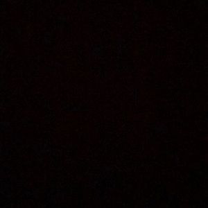 Meet your Posher, Will